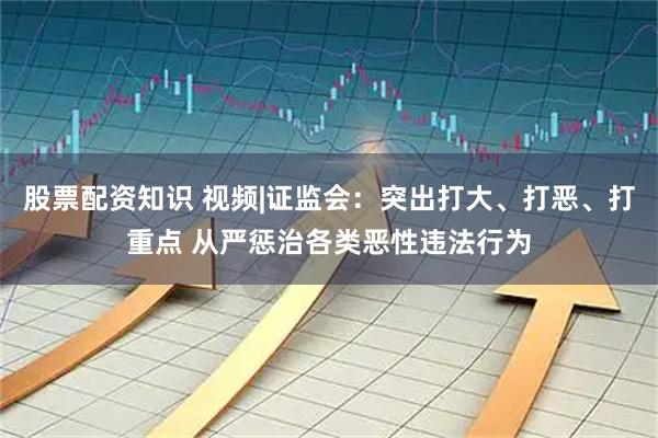 股票配资知识 视频|证监会：突出打大、打恶、打重点 从严惩治各类恶性违法行为